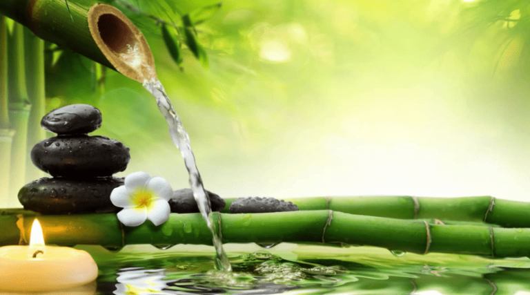Les 10 Astuces pour Aménager un Jardin Zen et Relaxant